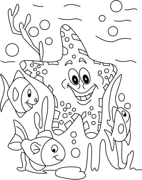 Con Sao Biển và Đàn Cá