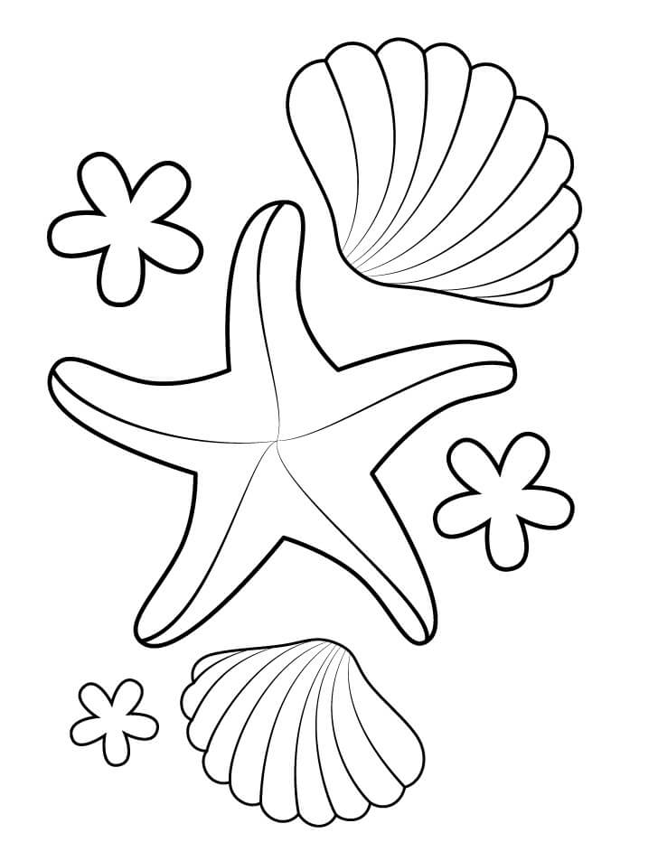 Con Sao Biển và Vỏ Sò