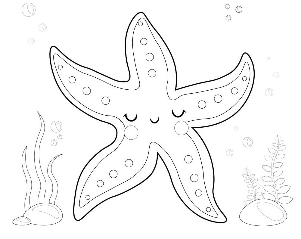Tô Màu Con Sao Biển