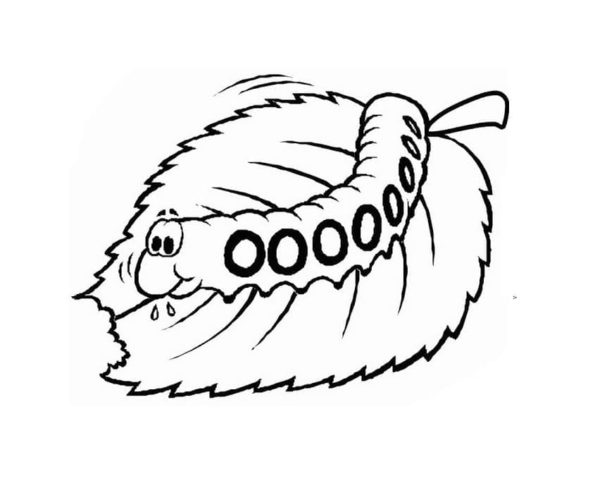 Con Sâu Đang Ăn Lá Cây