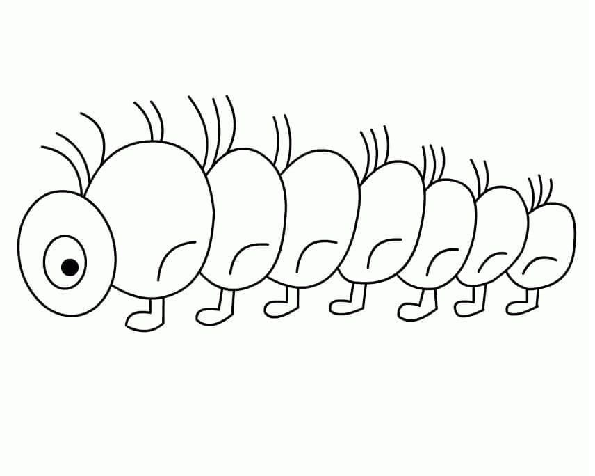 Con Sâu Rất Đơn Giản