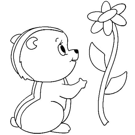 Con Sóc Chuột và Bông Hoa