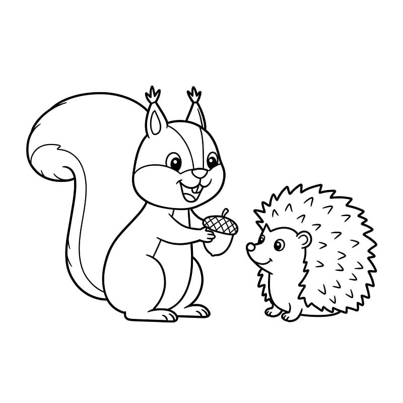 Con Sóc và Con Nhím