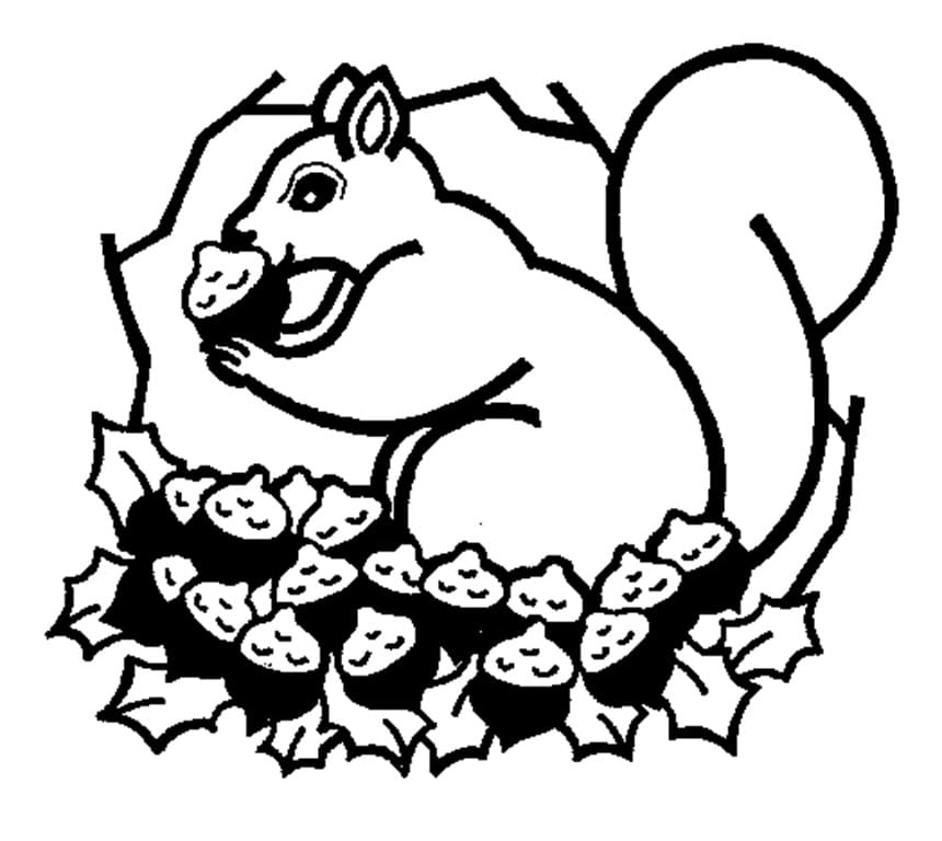 Con Sóc Với Hạt Hạnh