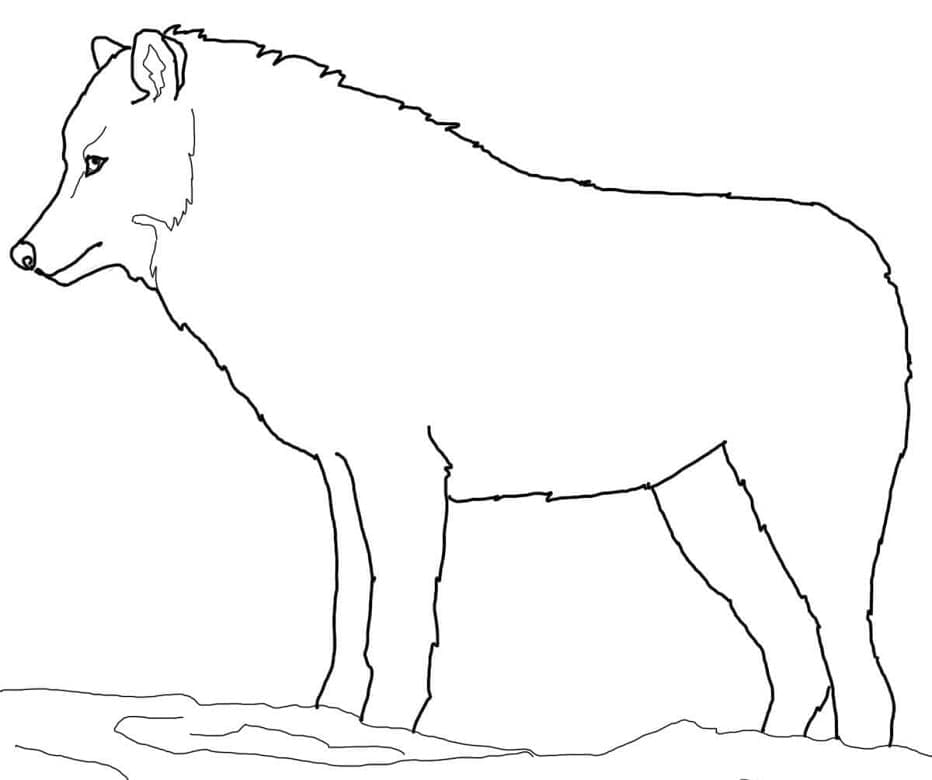 Con Sói Cho Trẻ Nhỏ