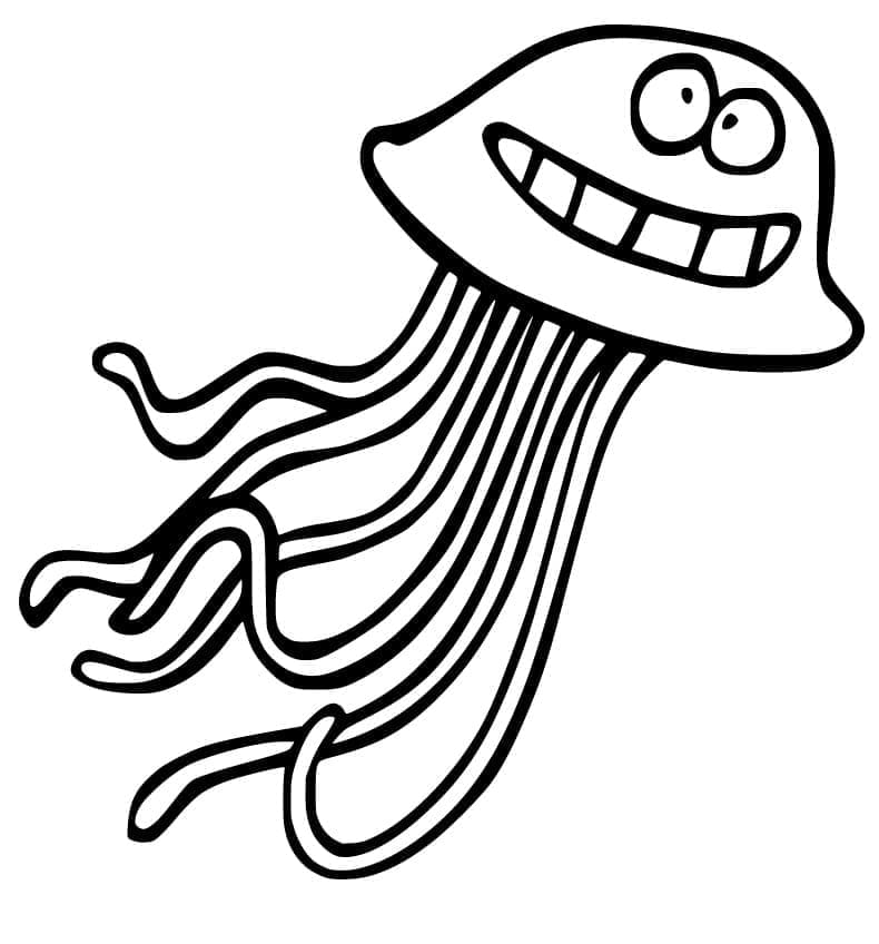 Con Sứa Cười Lớn