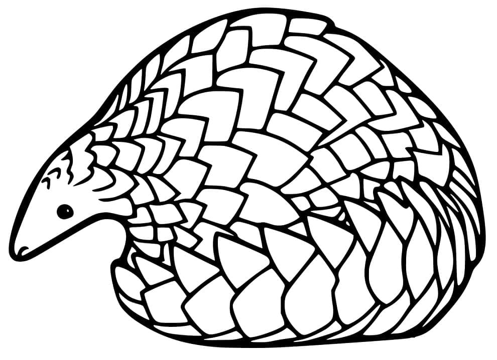 Con Tê Tê Đơn Giản