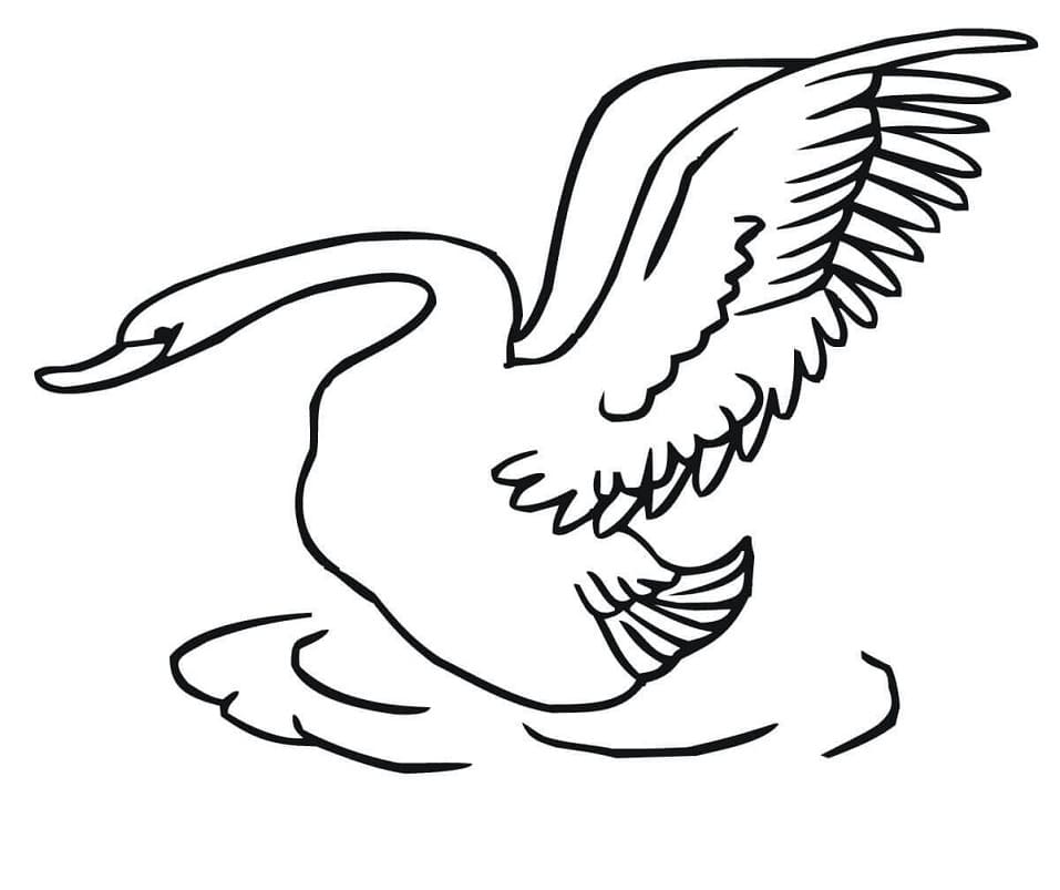 Con Thiên Nga Vẫy Cánh