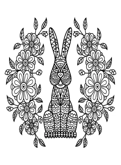 Con Thỏ Rất Đẹp