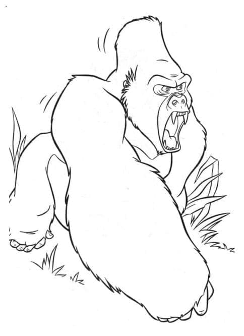 Con Tinh Tinh Giận Dữ