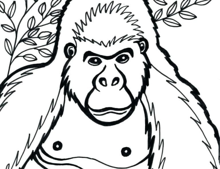 Con Tinh Tinh Mỉm Cười