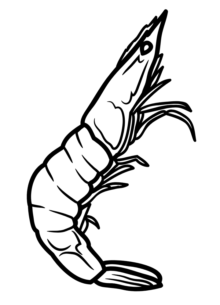 Con Tôm Đơn Giản