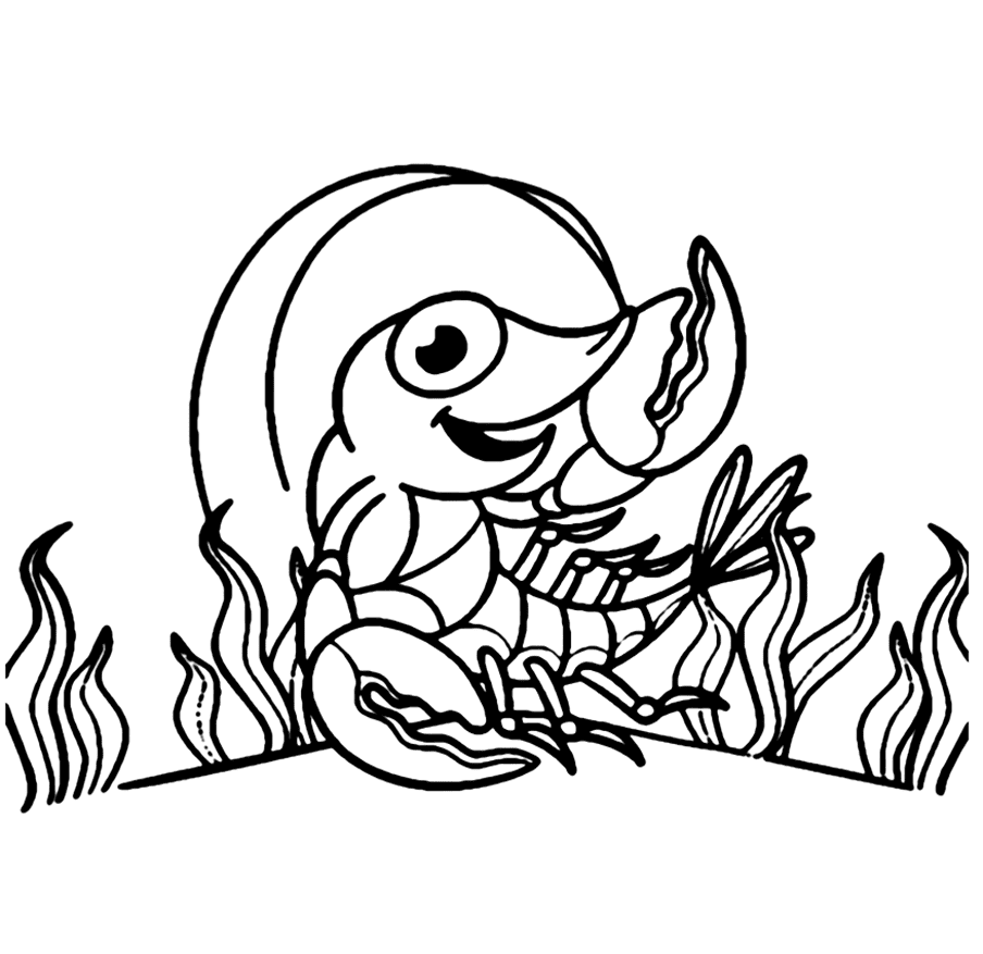 Con Tôm Dưới Nước