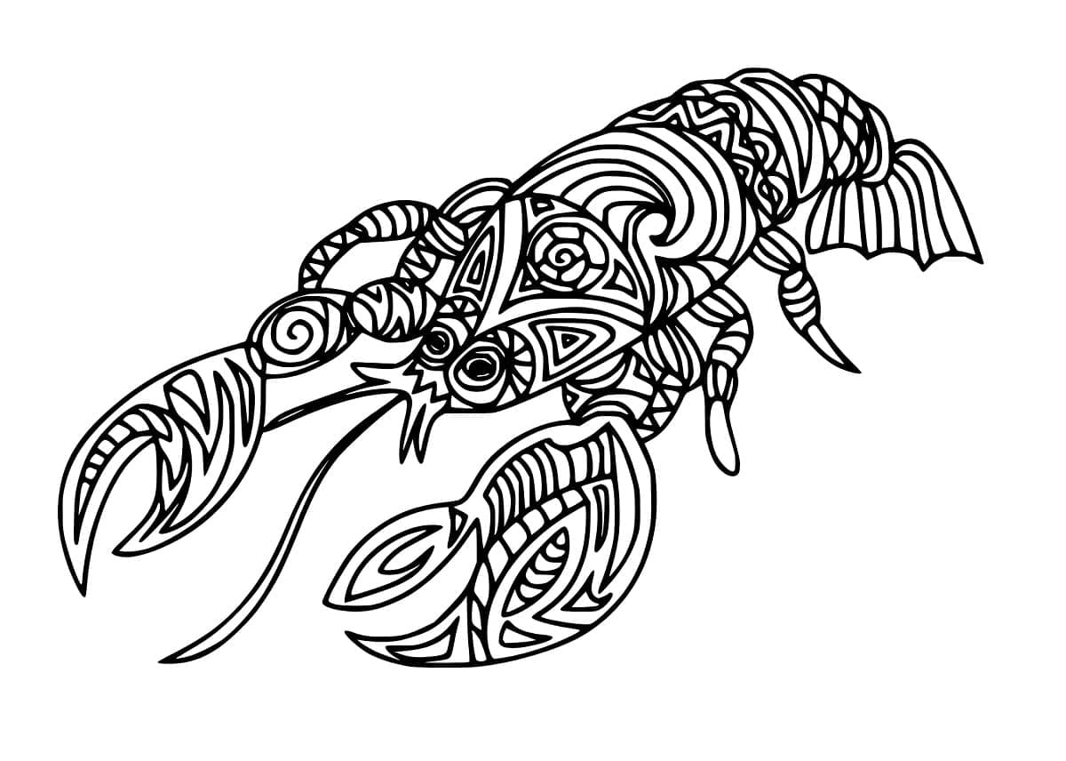 Con Tôm Hùm Đẹp