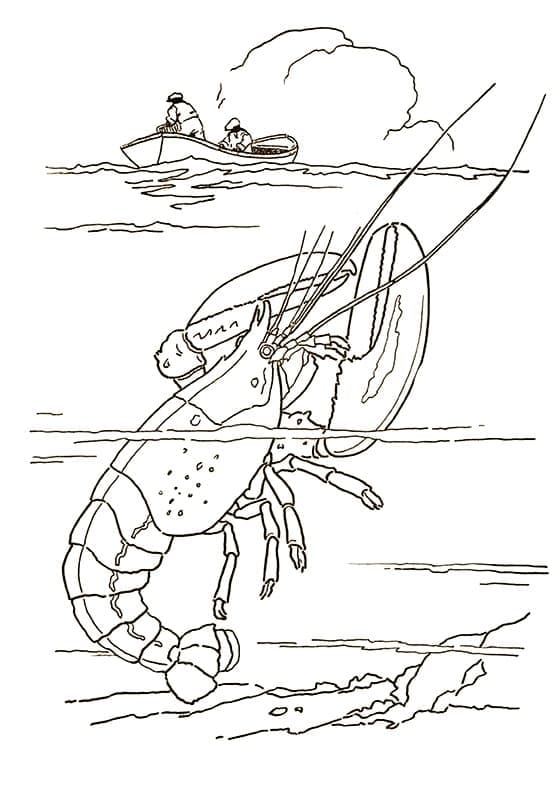 Con Tôm Hùm Ngoài Biển