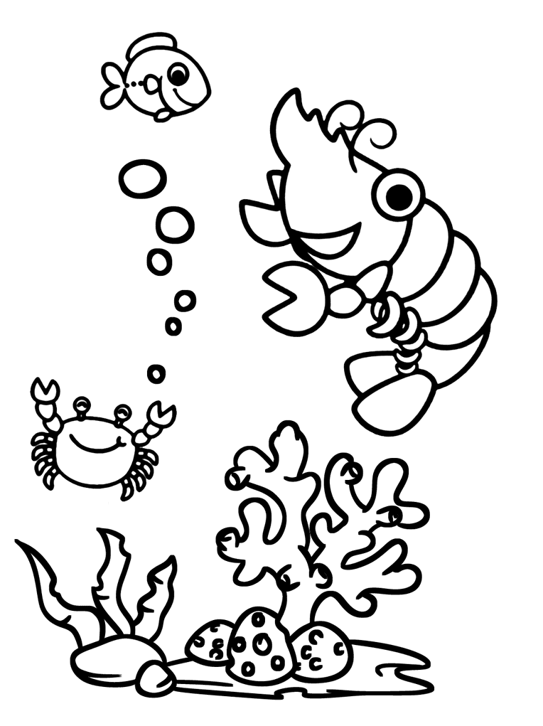 Con Tôm Và Con Cua