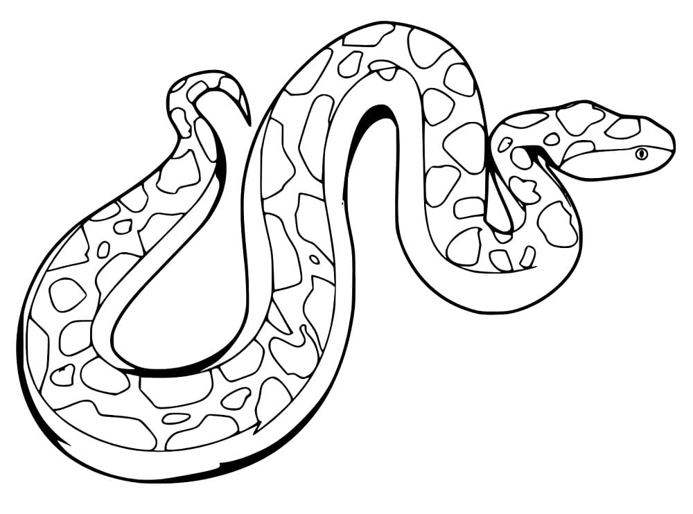 Con Trăn Đang Trườn