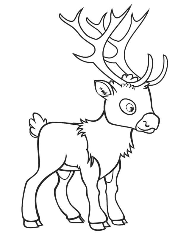 Con Tuần Lộc Dễ Thương