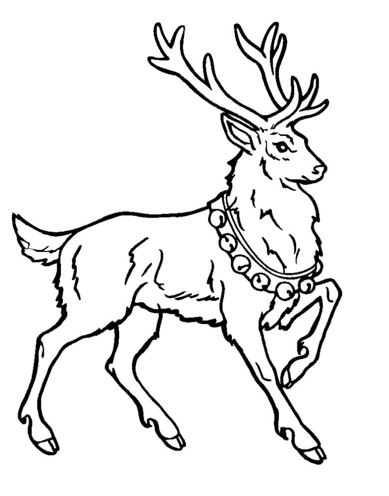 Con Tuần Lộc Đeo Vòng Chuông