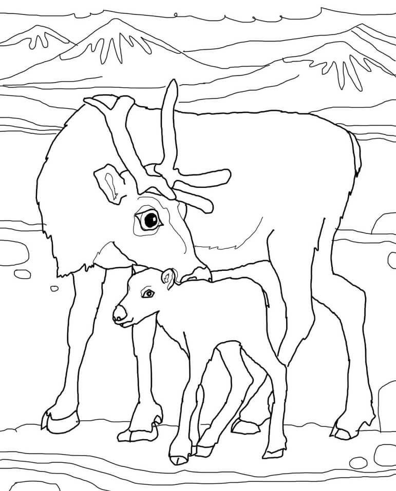 Con Tuần Lộc Mẹ và Con