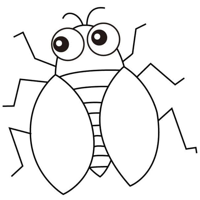 Con Ve Sầu Đơn Giản