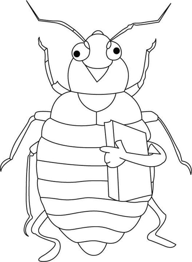 Con Ve Sầu Vui Nhộn