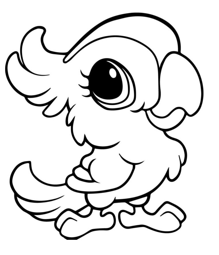 Con Vẹt Đáng Yêu