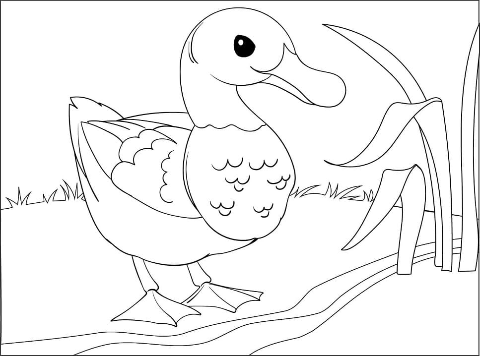 Con Vịt Dễ Thương