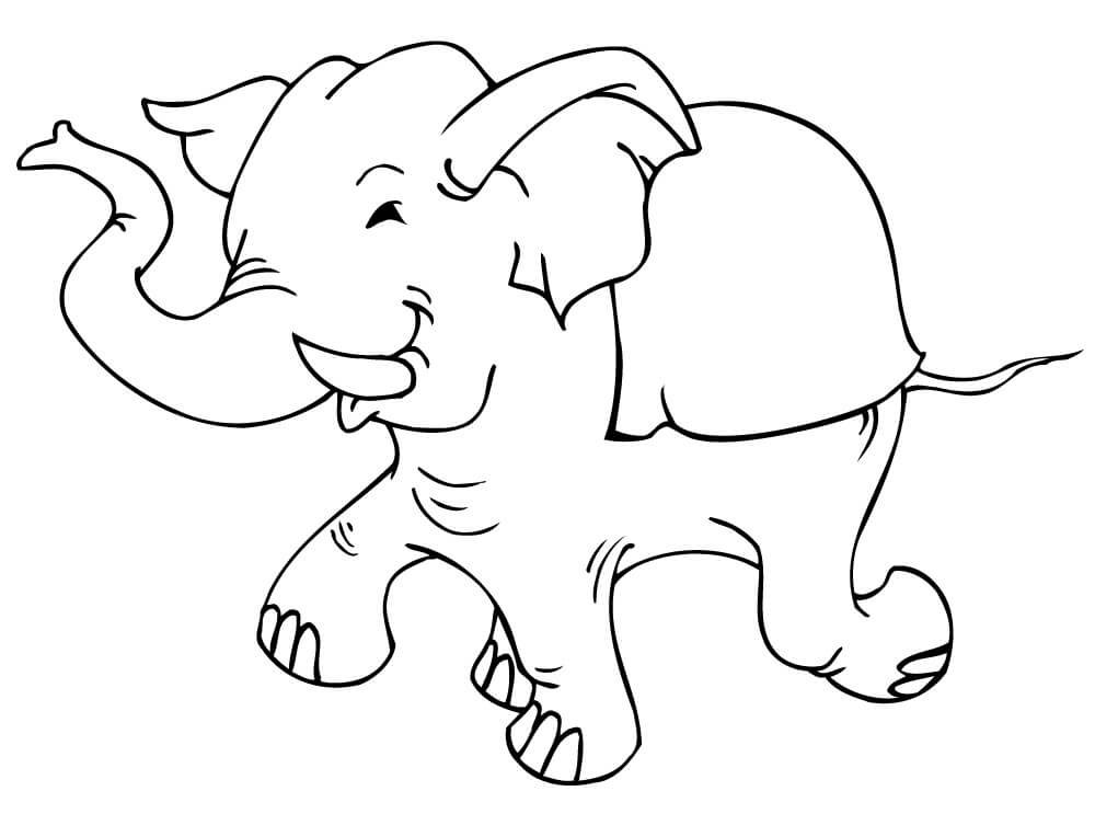 Con Voi Đang Chạy