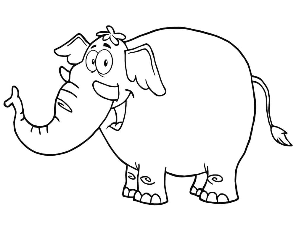 Con Voi Hoạt Hình