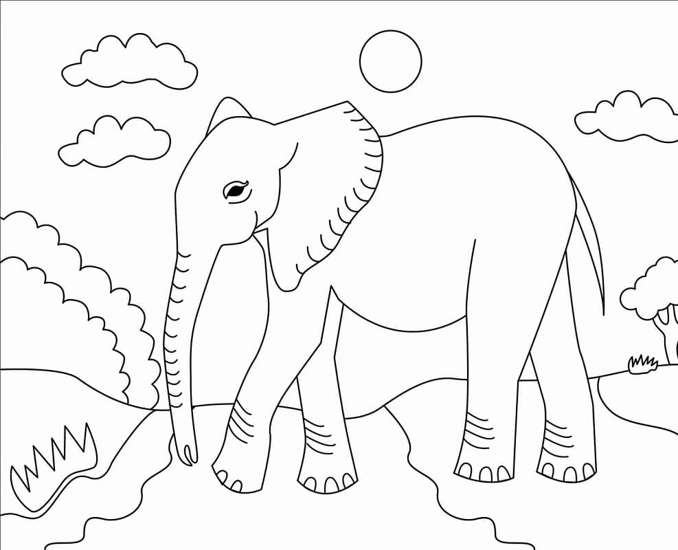 Con Voi và Thiên Nhiên