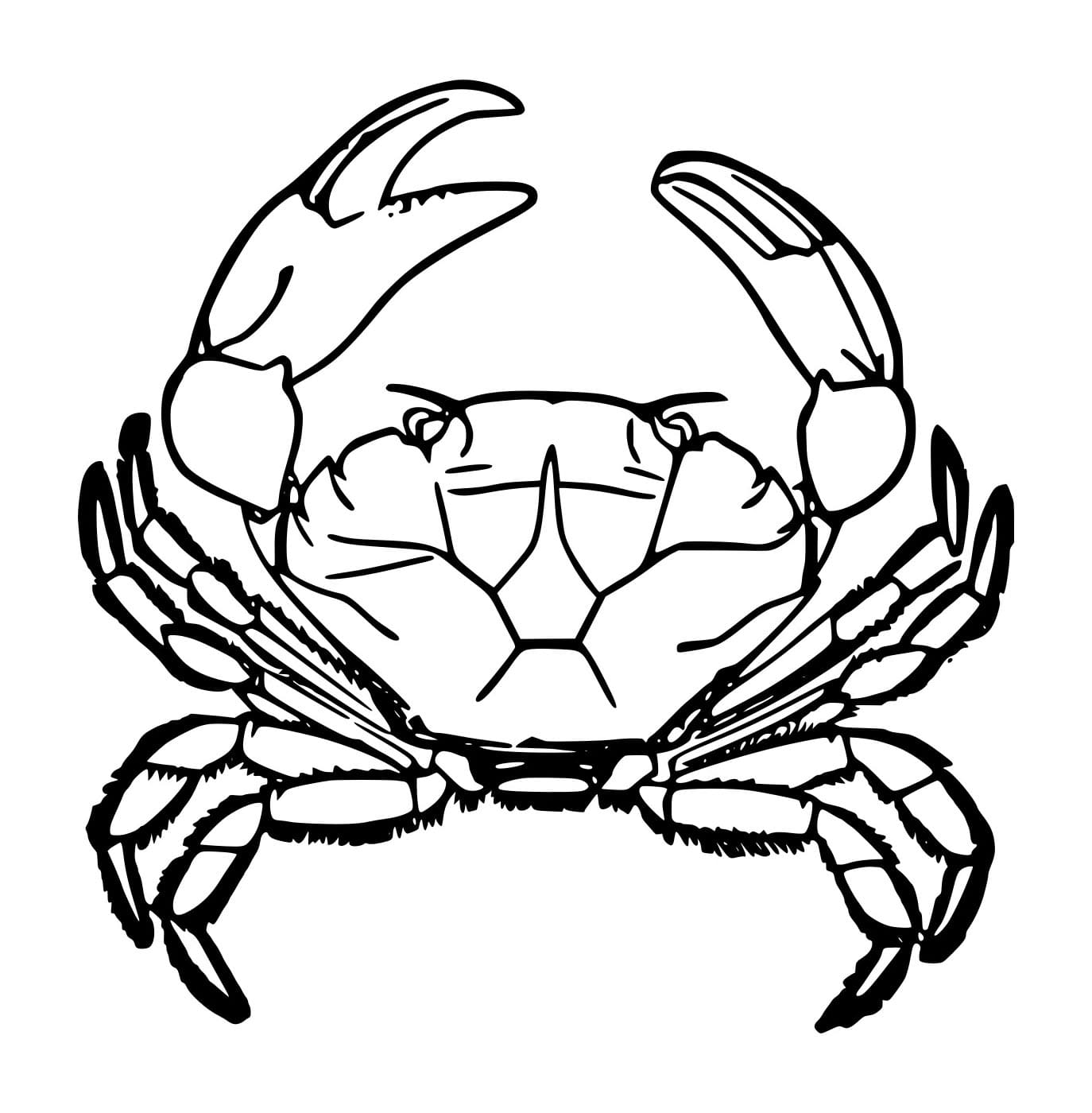 Cua Xanh Châu Âu