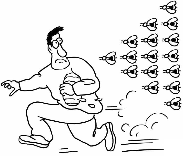 Đàn Ong Giận Dữ