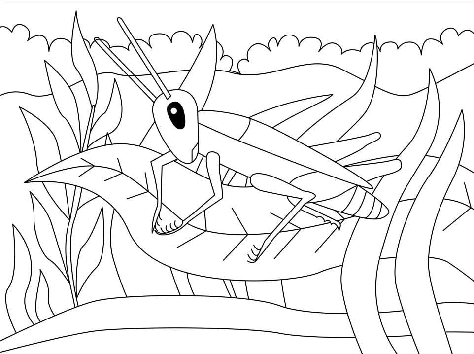 Dế Mèn Trên Lá Cây