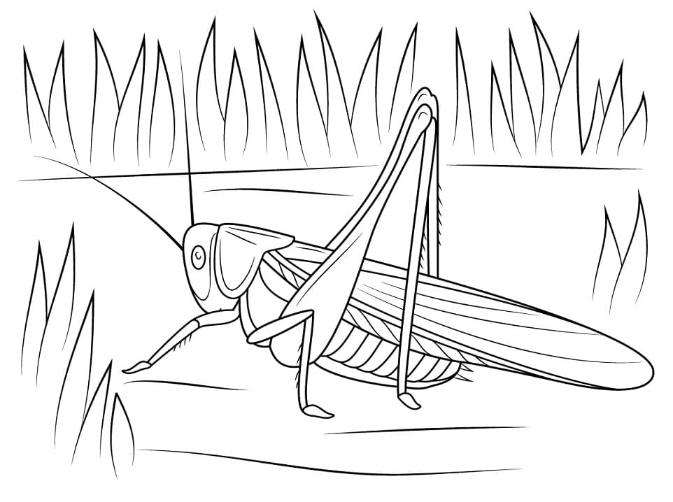 Dế Mèn Trong Bụi Cỏ