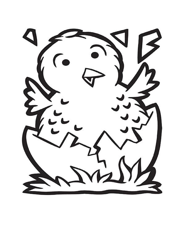 Gà Con Ngộ Nghĩnh