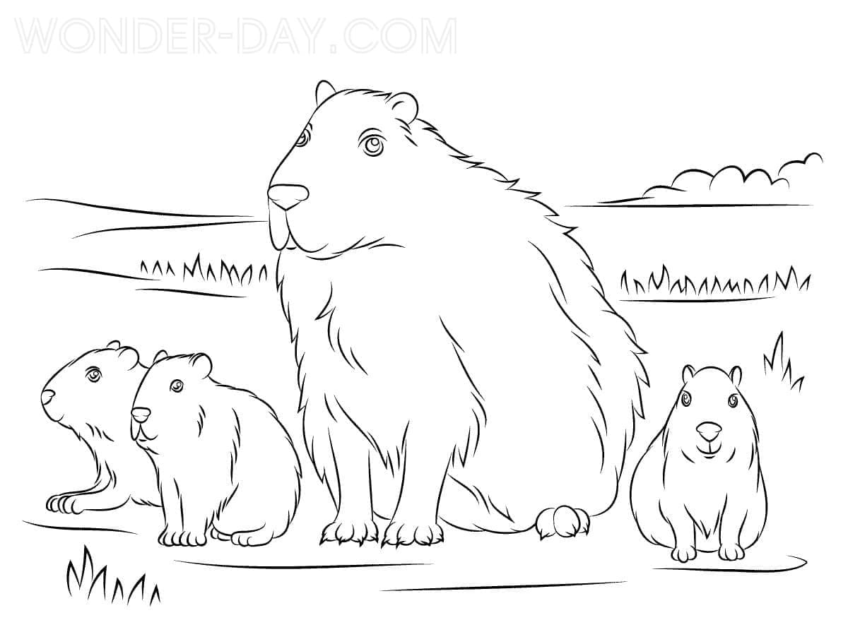 Gia Đình Capybara