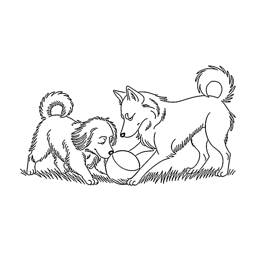 Hai Chú Chó Giành Quả Bóng