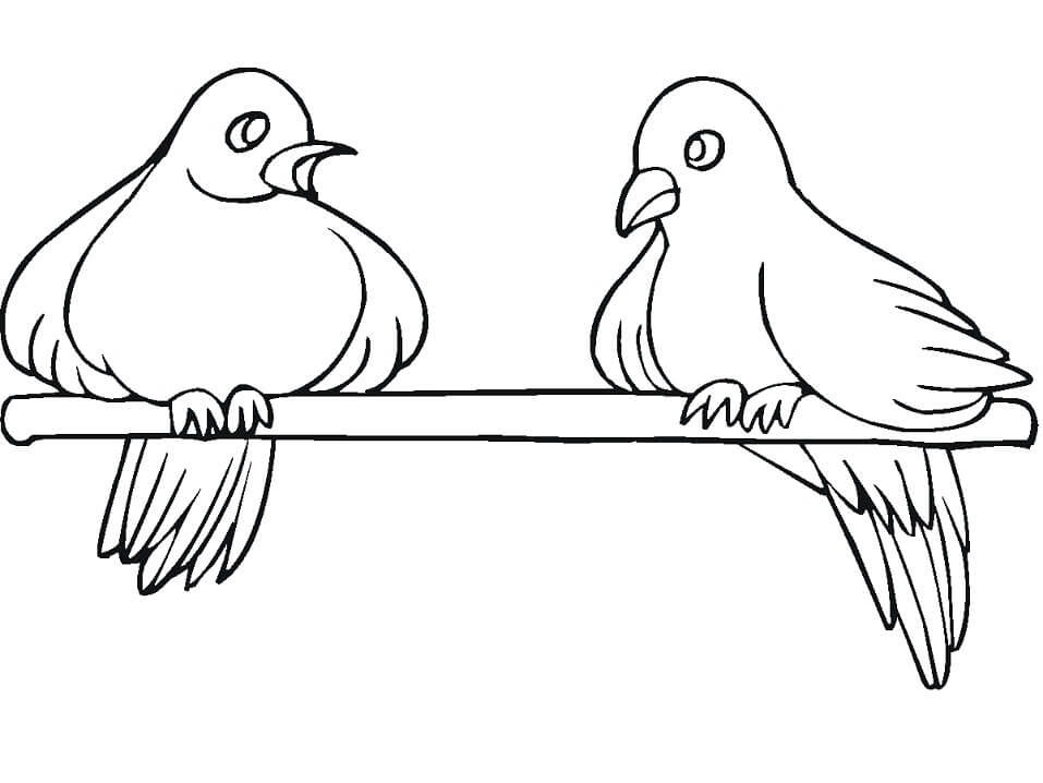 Hai Con Chim Bồ Câu