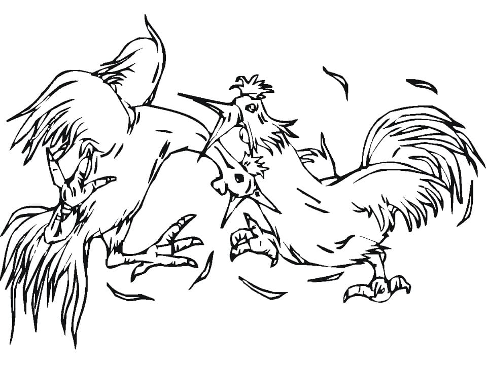 Hai Gà Trống Đánh Nhau