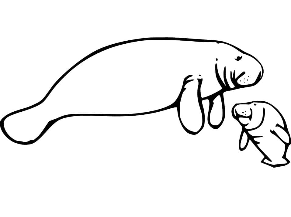 Hai Con Lợn Biển