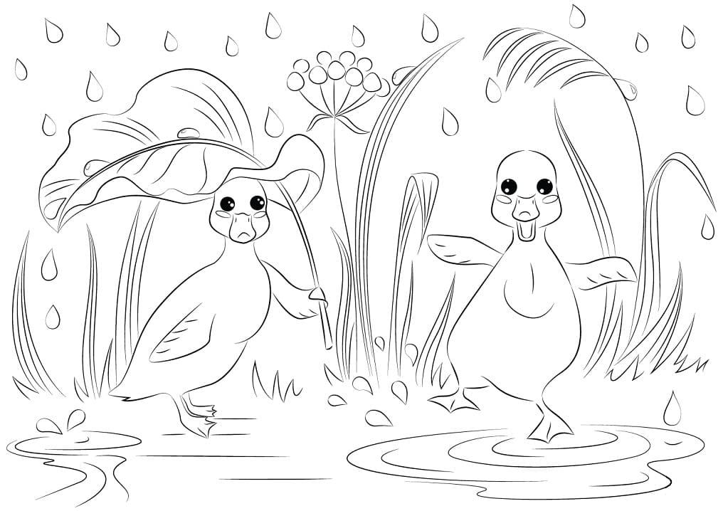 Hai Con Vịt Ngộ Nghĩnh