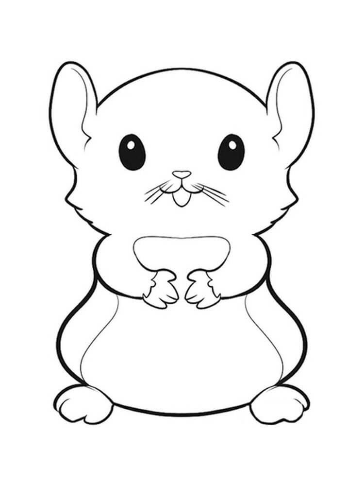 Hamster Nhỏ Bé