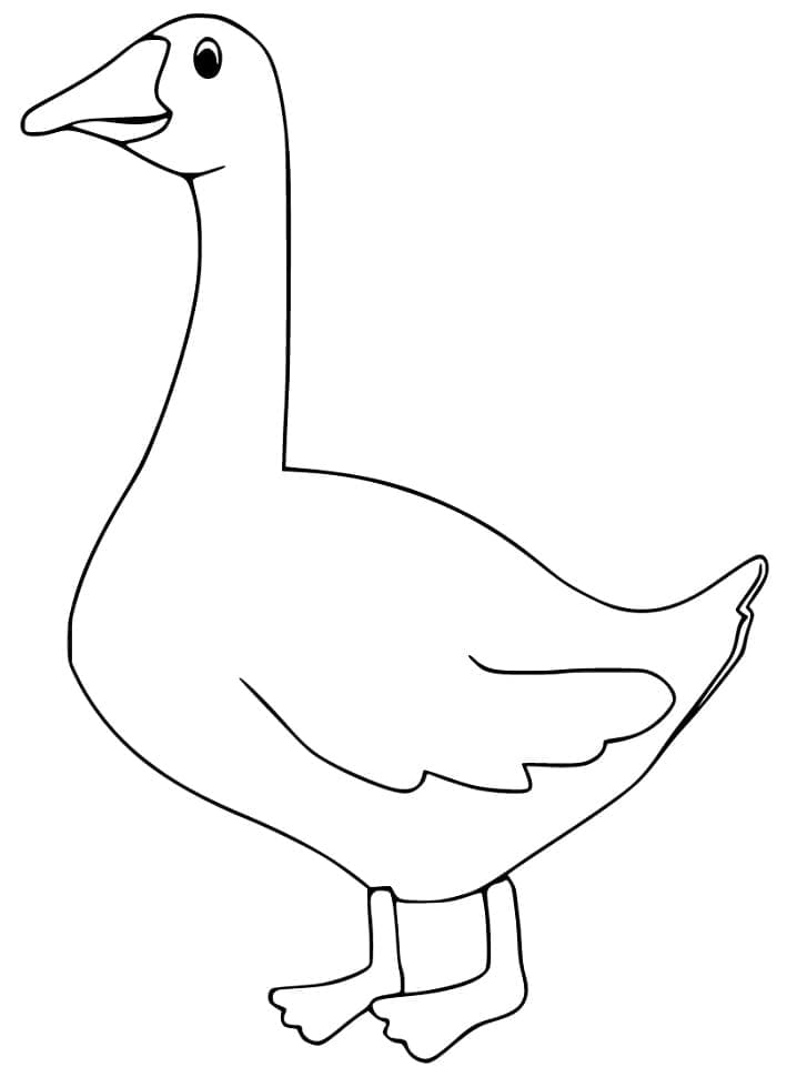 Hình Con Ngỗng Đơn Giản