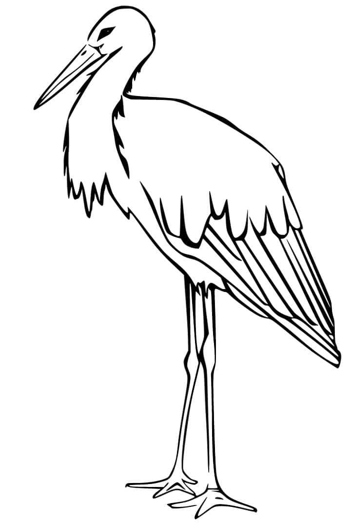 Hình Vẽ Con Cò Đẹp