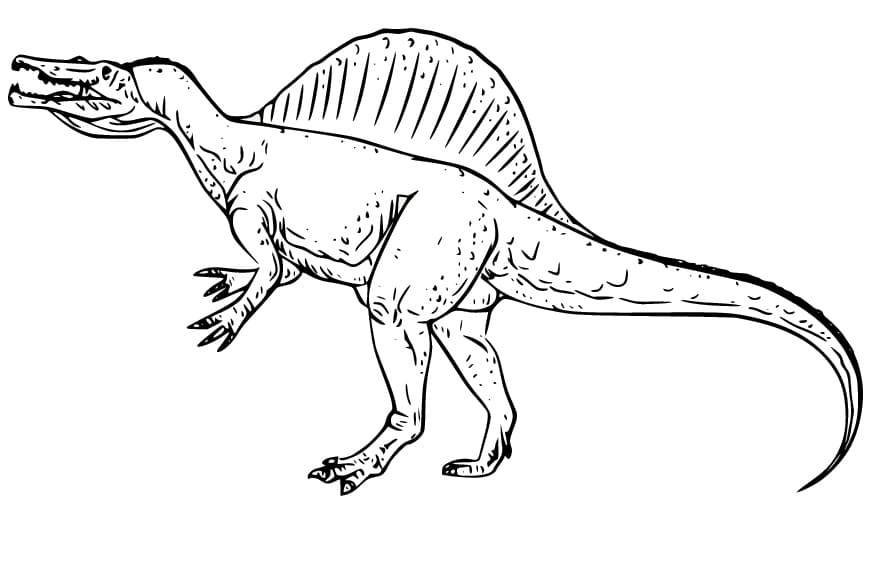 Wild Spinosaurus
