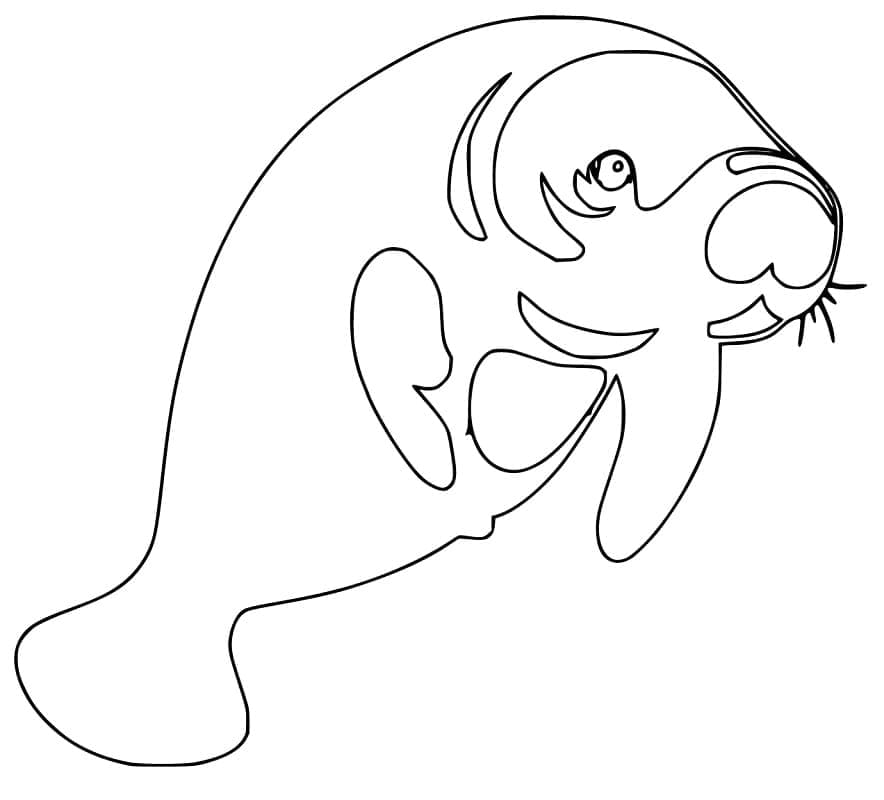 Lợn Biển Đươn Giản