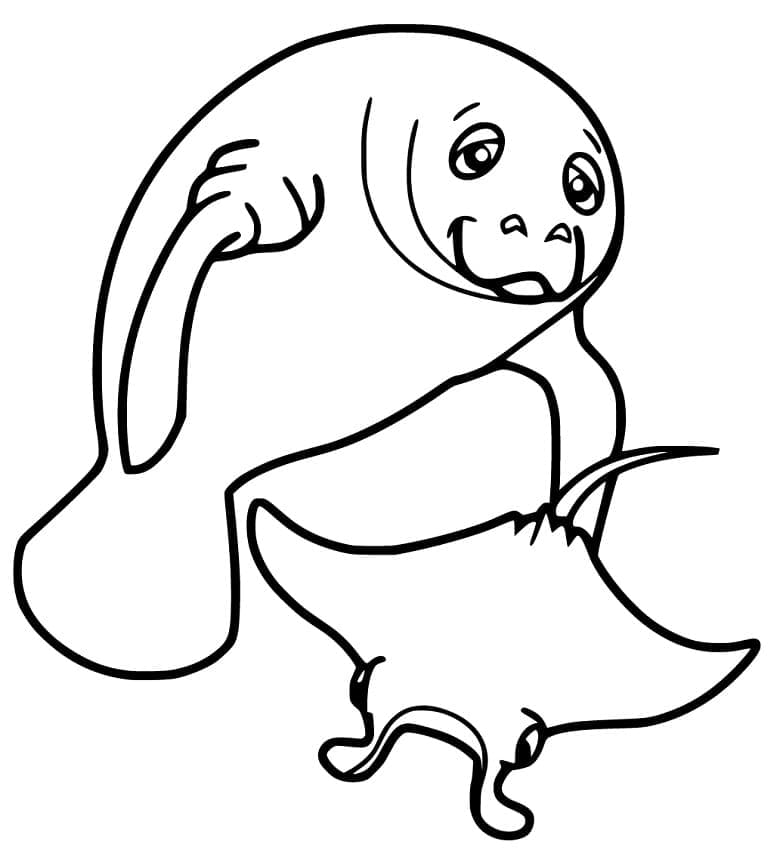 Lợn Biển Và Cá Đuối