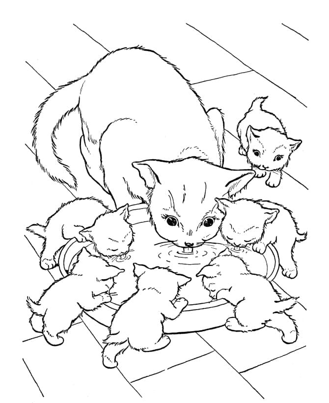 Mèo Mẹ và Mèo Con