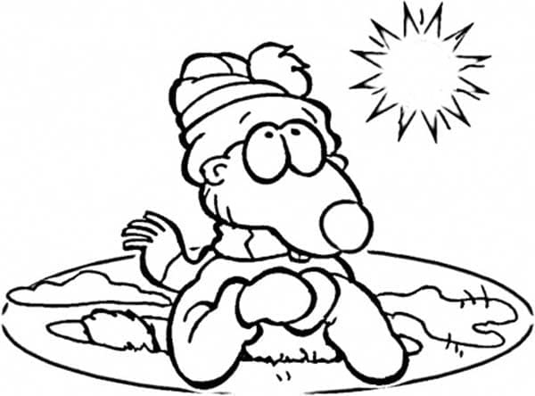 Một Con Chuột Chũi